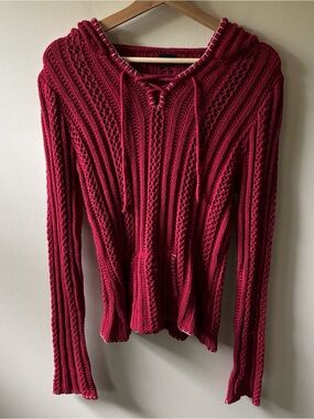 Vanity Red Knit Hooded Sweater with Stitching Details